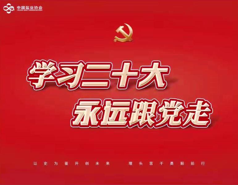 中國(guó)鹽業(yè)協(xié)會(huì)黨支部組織收看學(xué)習(xí)貫徹 黨的二十大精神中央宣講團(tuán)報(bào)告會(huì)